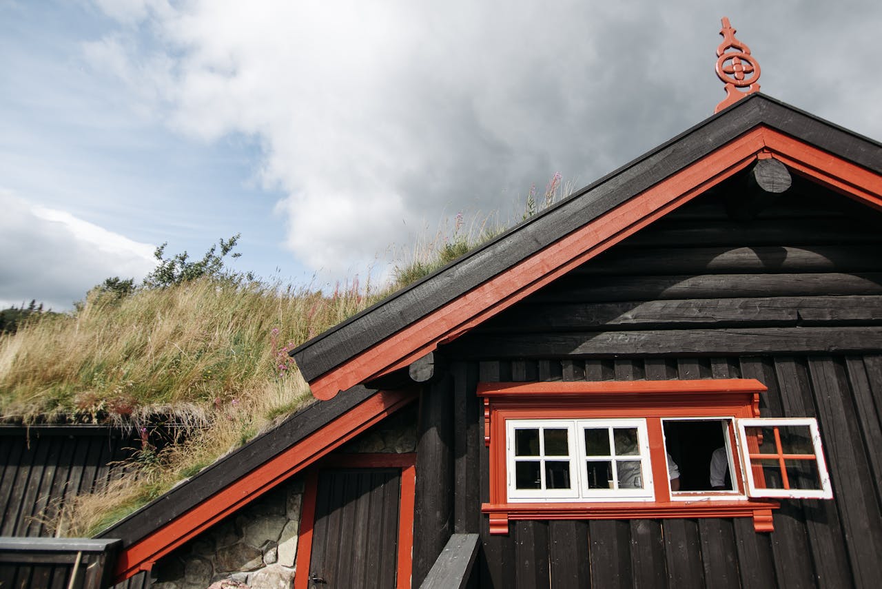 home-services-02 A charming Scandinavian wooden house featuring a grassy roof and unique architectural design.